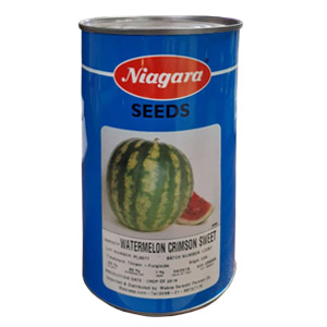 بذر هندوانه نیاگارا آمریکا